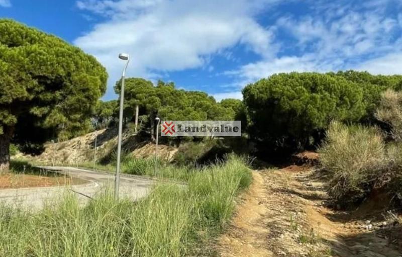Foto f3d76215-dc45-412b-a4ee-0926570f30c3. Terreno residencial en carrer marc pastor en Urbanitzacions Sant Pol de Mar