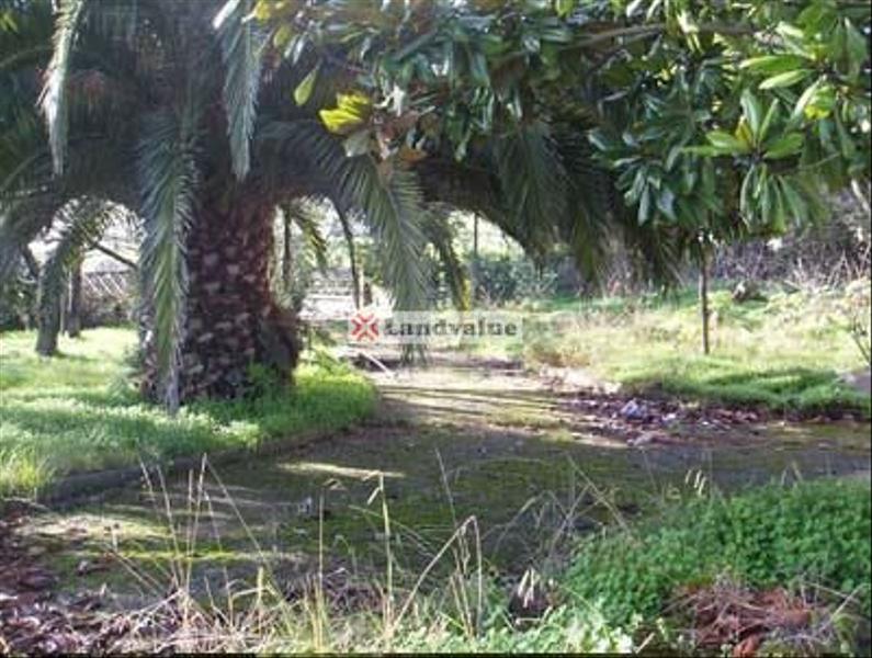 Foto 94c21a1b-a1ca-44f2-b2be-33161b14fab0. Terreno residencial en santo domingo 4 en El Carbayedo - El Quirinal Avilés