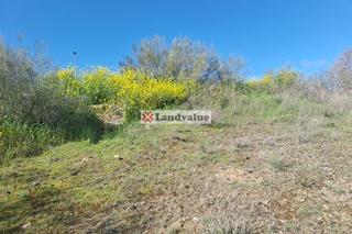 Residential Plot in Murallas de lugo 5-9-11