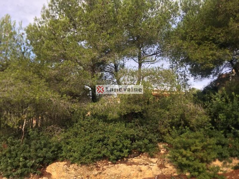 Foto 5b3b7c25-8eca-4f43-8826-8eca00bb5c2f. Terreny residencial a carrer cigne 25 a costa Cunit - els jardins - els rosers Cunit
