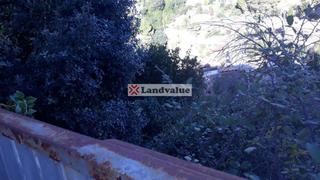 Terreny residencial a Dolça de provença 123