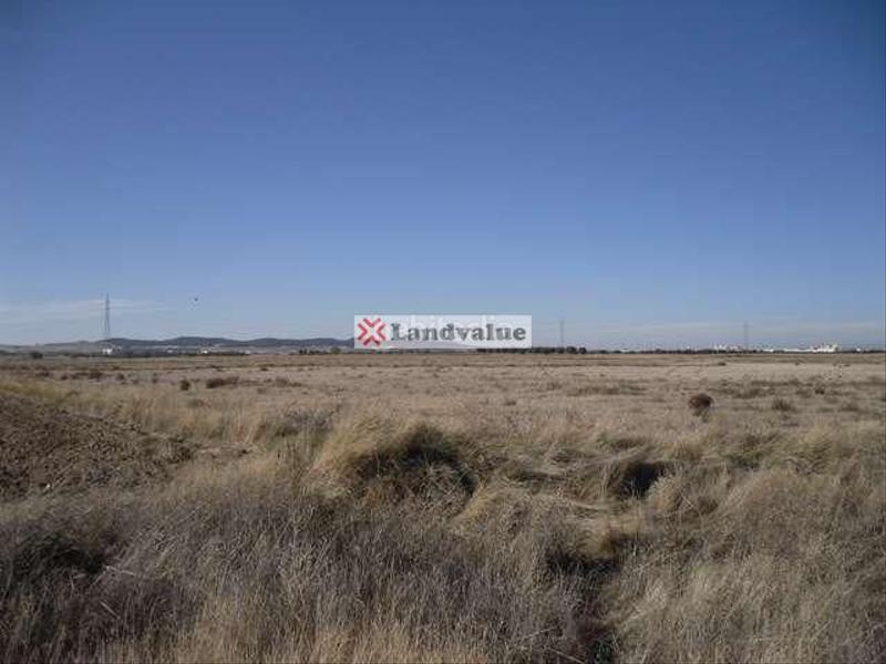 Foto a096d65e-0296-4262-a7c0-e0325f3ca027. Finca rústica en paraje sotillo de palomero. parcelas 40 y 48 del polígono 10 en Ciempozuelos