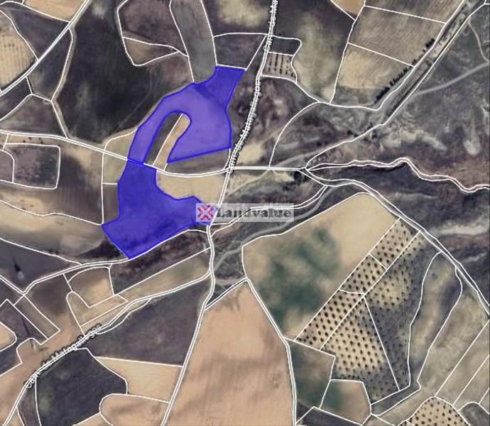 Foto e137e7ad-299c-4e94-acc9-26db877a7c81. Finca rústica en paraje sotillo de palomero. parcelas 40 y 48 del polígono 10 en Ciempozuelos