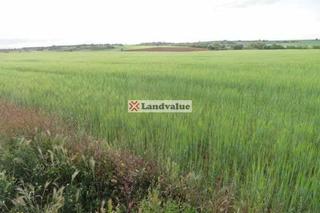 Rural plot  De el roble