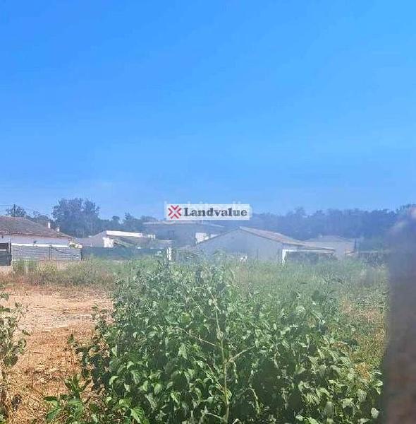 Foto 7ca7f8d2-2cd1-4ab5-9675-5a9e43e89eb4. Residential plot in pintor cases in Santa Coloma de Farners