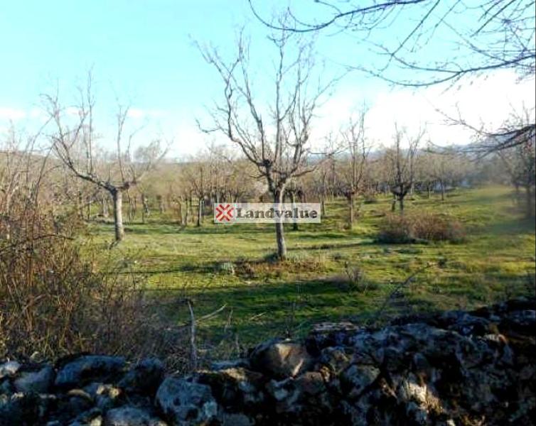 Foto 21172220-85fa-4bac-9c61-b1c753372acd. Terrain résidentiel dans de la cebollita 35 dans Cercedilla