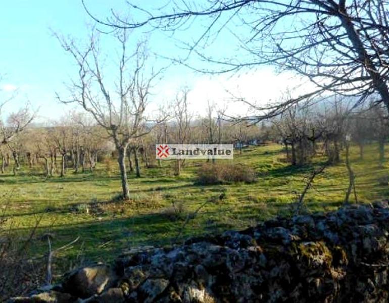 Foto d10f56bb-9ff6-40a5-a72e-3598132abea1. Terrain résidentiel dans de la cebollita 35 dans Cercedilla