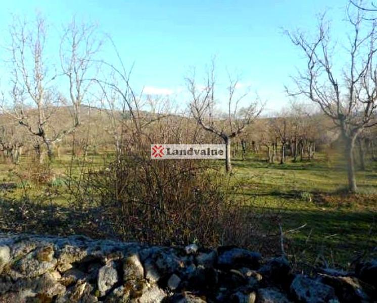 Foto de7b556d-1a20-4698-a5d1-28829dbb1da4. Terrain résidentiel dans de la cebollita 35 dans Cercedilla