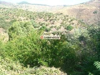 Propriété à Paraje jaboneros y otros