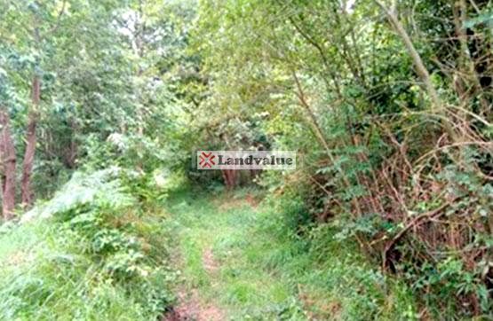 Foto 55cfcbda-0575-4994-9b8c-1da495fcc3f3. Landgut in polígono 4 parcelas 33 in Zamudio