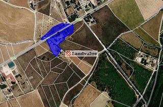 Finca rústica a Polígono 25. Parcelas 32,34,76 y en C-404. La Marguilla