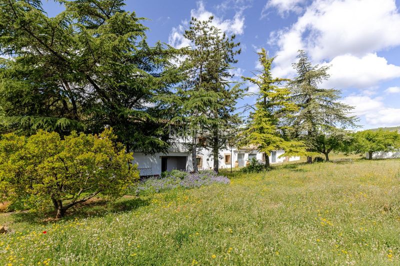 Foto a5a6d3d7-6f36-487d-9084-2b48029905d8. Casa amb calefacció aparcament a Bocairent