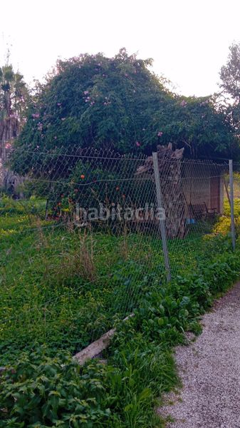 Foto b0397850-df00-4733-9fd9-ff11a2bb10e7. Finca rústica a Era Alta Murcia