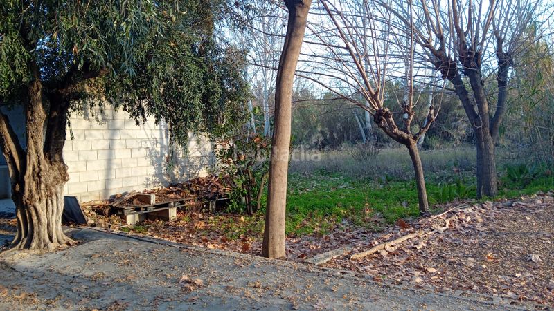 Foto d9660b13-f02c-4d06-8838-2f3e40beb85e. Finca rústica a Era Alta Murcia