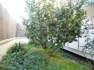 Ground floor in Carrer del rosari 84. Planta baja