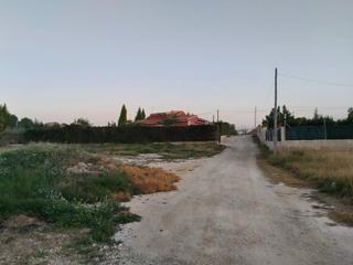 Finca rústica a El Pino. Parcela en el romeral de 2400 metros cuadrados, molina de segura