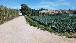Residential Plot in Ribera de Molina - Torrealta. Parcela en molina de segura para recreo.