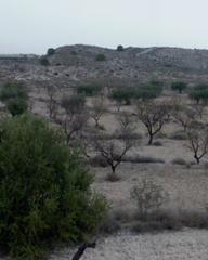Finca rústica a El Fenazar - Campotéjar. Amplia parcela de uso agrario en la albarda, fenazar murcia.