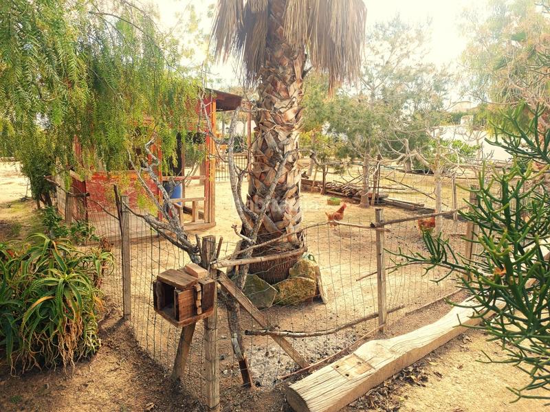 Foto 91dc1e03-41a0-4873-a67d-7b726872986e. Chalet avec chauffage parking piscine dans Los Valientes Molina de Segura