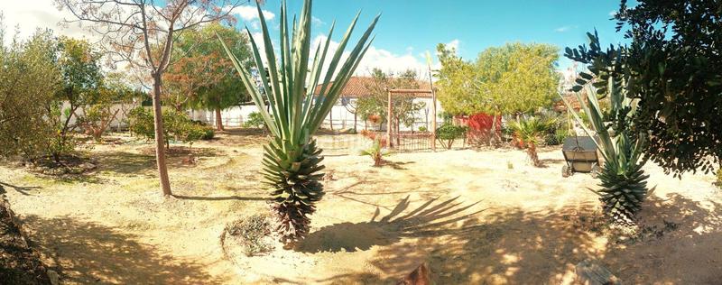 Foto c67e975a-ef04-4f36-901c-26c1ef7936ab. Chalet avec chauffage parking piscine dans Los Valientes Molina de Segura