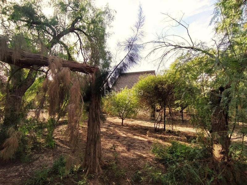 Foto 1a39682e-f922-4aad-8c37-78cc4cb489ed. Masia amb calefacció aparcament piscina a La Alcayna Molina de Segura