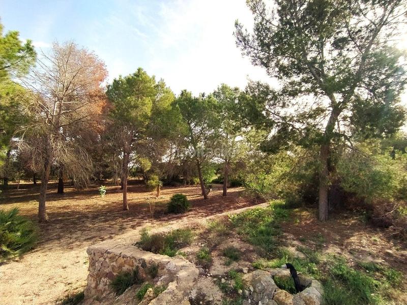 Foto 835ef5f1-4cc4-4904-9248-10e8deb4f93c. Masia amb calefacció aparcament piscina a La Alcayna Molina de Segura