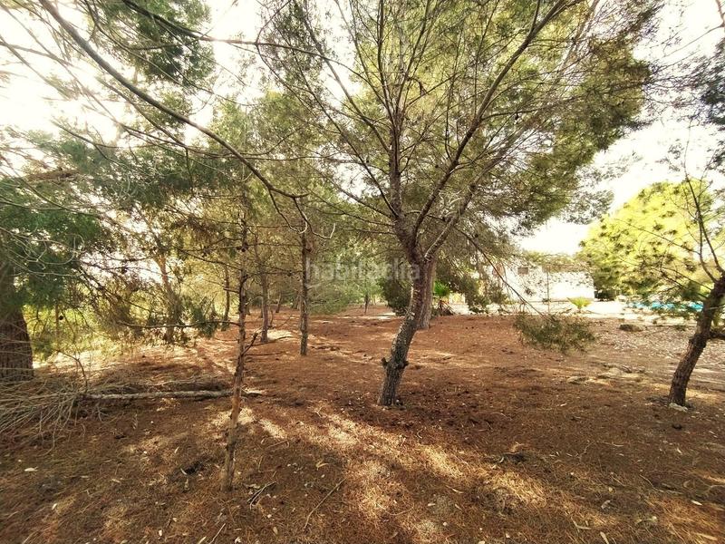 Foto c498de18-2776-44e4-b350-8988f5da3488. Masia amb calefacció aparcament piscina a La Alcayna Molina de Segura