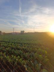 Wohngrundstück in Lorquí. Venta de parcelas para edificar, oportunidad!! lorqui