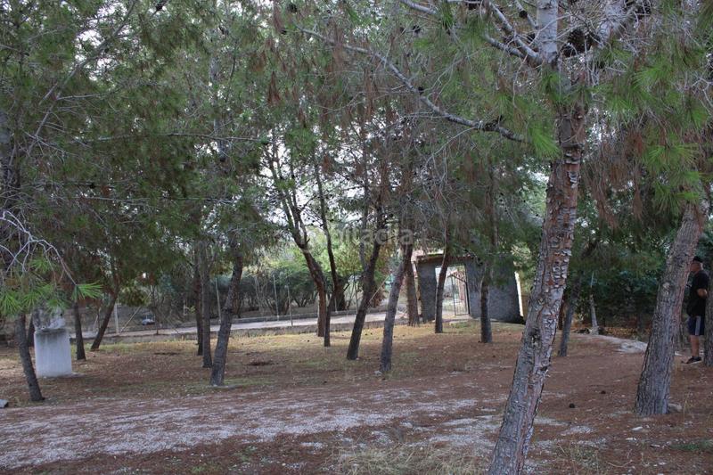 Foto b60c6a98-083e-41d0-a71d-1bc1c9d1ca75. Rural plot in Los Vientos - Casa Ros Molina de Segura