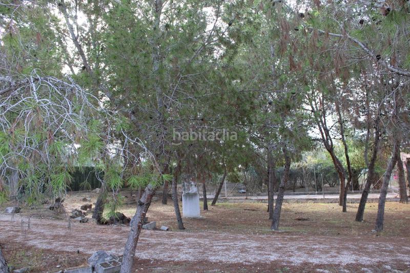 Foto c1473aa0-f450-44a7-b22d-f1e4e157388f. Rural plot in Los Vientos - Casa Ros Molina de Segura