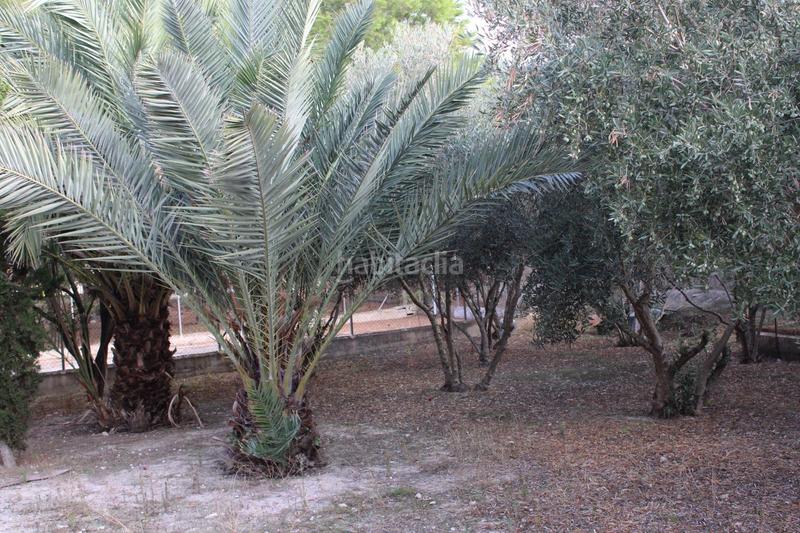 Foto e42b68ea-cc33-43fe-a2a3-4fd23df9a7ac. Rural plot in Los Vientos - Casa Ros Molina de Segura