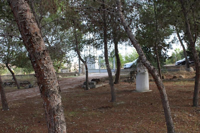 Foto f98093d1-a355-4f73-8e4f-4c918c9491d7. Rural plot in Los Vientos - Casa Ros Molina de Segura