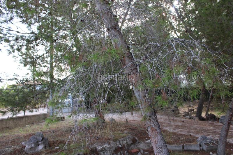 Foto fe1b4262-b4d2-4914-8d3c-fece10230b45. Rural plot in Los Vientos - Casa Ros Molina de Segura