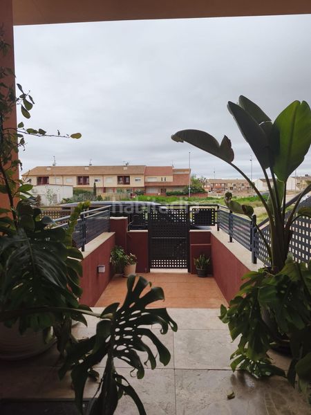 Foto 00630441-82c9-4c14-8f3c-5486caf9e2f4. Dúplex amb aparcament a Ceutí