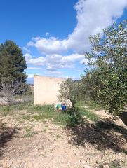 Finca rústica a Ribera de Molina - Torrealta