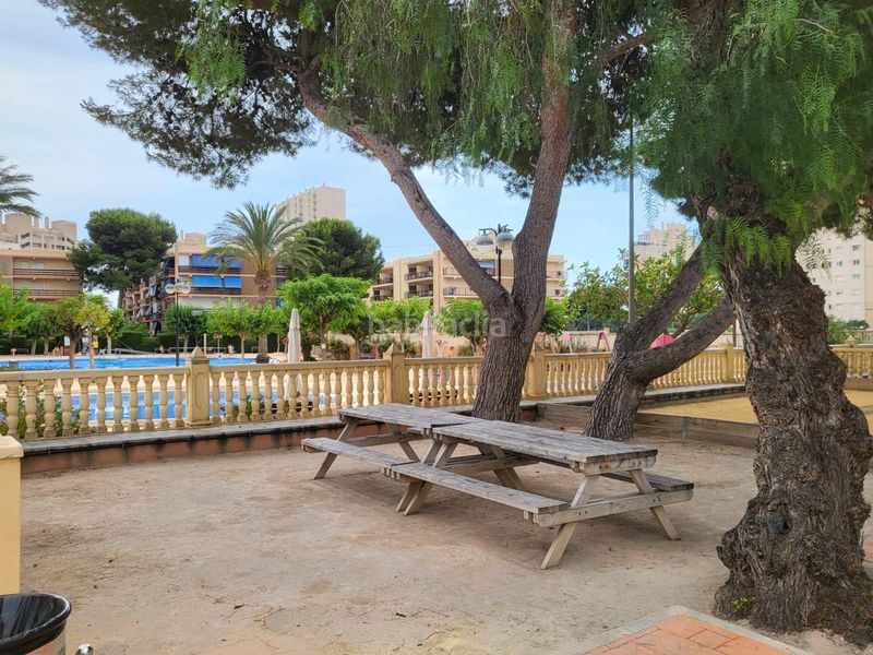 Foto 1d6c848c-dfb6-4ad2-89bb-ad530a250491. Miete loft mit pool in Playa Muchavista Campello (el)