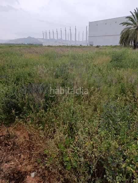 Foto bc6b6147-42a8-43a4-b6e1-bd18b324de7b. Solar industrial a Fortuna