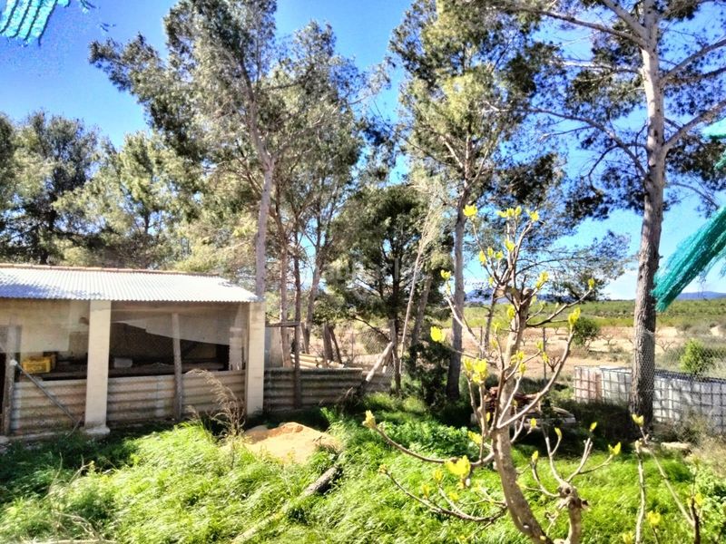Foto 54fa1d22-38e0-40fc-89d0-b5a655a0afd1. Chalet avec parking dans Mula