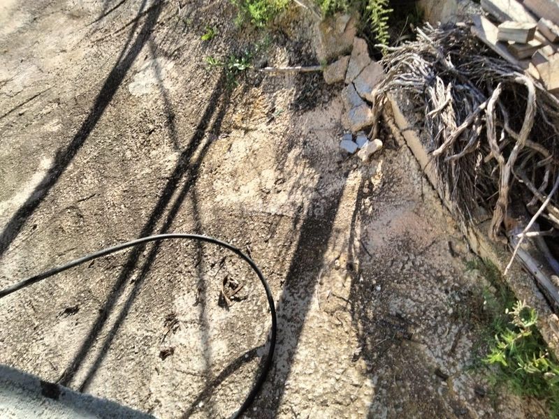 Foto 7b048f86-1b50-491f-a84c-821966ffab35. Finca rústica a Bullas