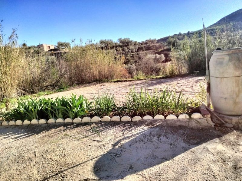 Foto c62e0842-ba81-4a9e-b71d-3ce204ffdf77. Finca rústica a Bullas