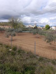 Terrain résidentiel à Cehegín. Solar de 1000 metros cuadrados urbano y un terreno cercano de 40