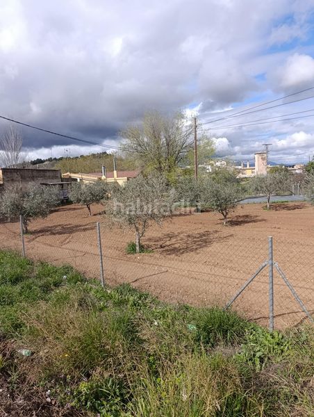 Foto 18d0e81c-2bf0-48a3-8673-e5dcfc962d85. Terreny residencial a Cehegín