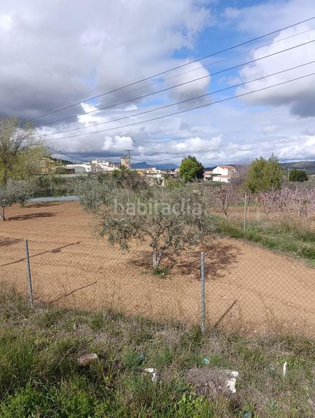 Foto 1b39f69e-b60c-43e2-bd61-86bdeefda45d. Terreny residencial a Cehegín