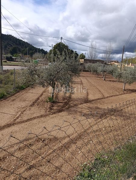 Foto 57050798-f60a-4965-b502-8ad8cbfdc3a7. Terreny residencial a Cehegín