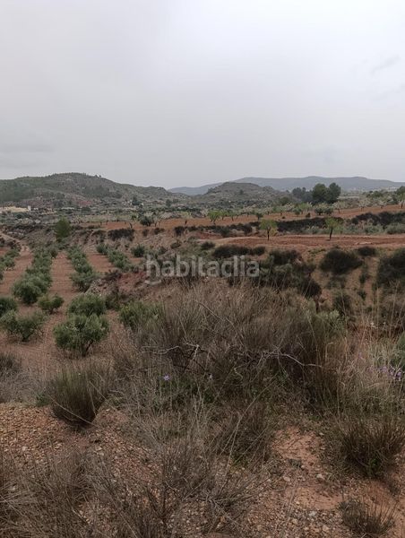 Foto 1d86fbb6-88b5-4836-b32a-21293f6ecdf0. Finca rústica a Bullas