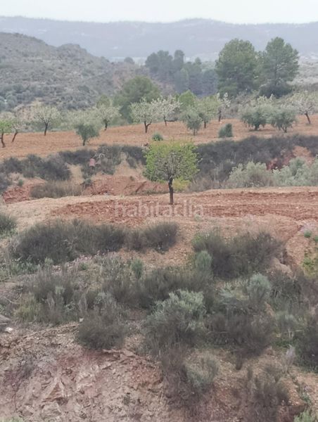 Foto 8c0fef78-da3d-4e85-8a0f-7aede754bbd7. Finca rústica a Bullas