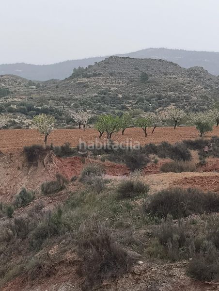 Foto 9e313337-4e55-4d41-985e-05aaaa7d7de1. Finca rústica a Bullas