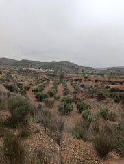 Finca rústica en Bullas. Terreno en cehegin de 88.031 metros cuadrados