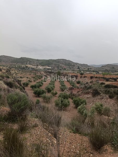 Foto d87a3ee2-f682-481b-a8fa-61d5bed5e744. Finca rústica a Bullas