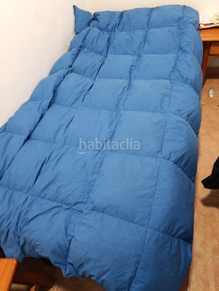 Foto 357ee33d-01d8-4191-a448-24a94bf6cc90. Masia a Bullas